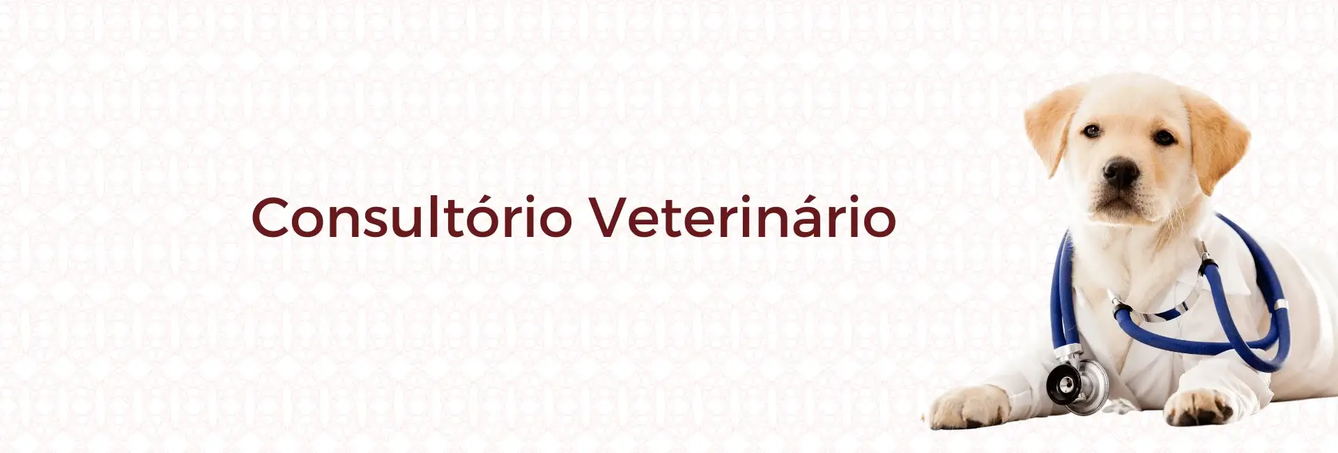 Namu Royal Pet Store Consultório Veterinário